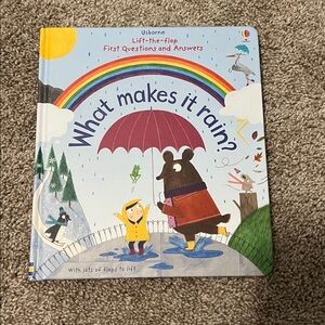 Usborne Children's Book 'What Makes It Rain?'